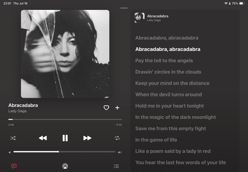 The refined TanukiBeats iPad player with large album artwork and synchronized lyrics